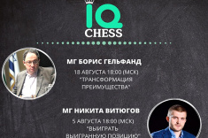 Школа шахмат IQ Chess приглашает на новые вебинары