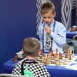 Очарование шахмат 