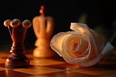 Шахматистки отметят День независимости на Беговой